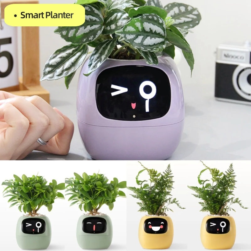 Smart Planter Endless Fun Over 49 Rich Expressions Home Decor dealsniper-net