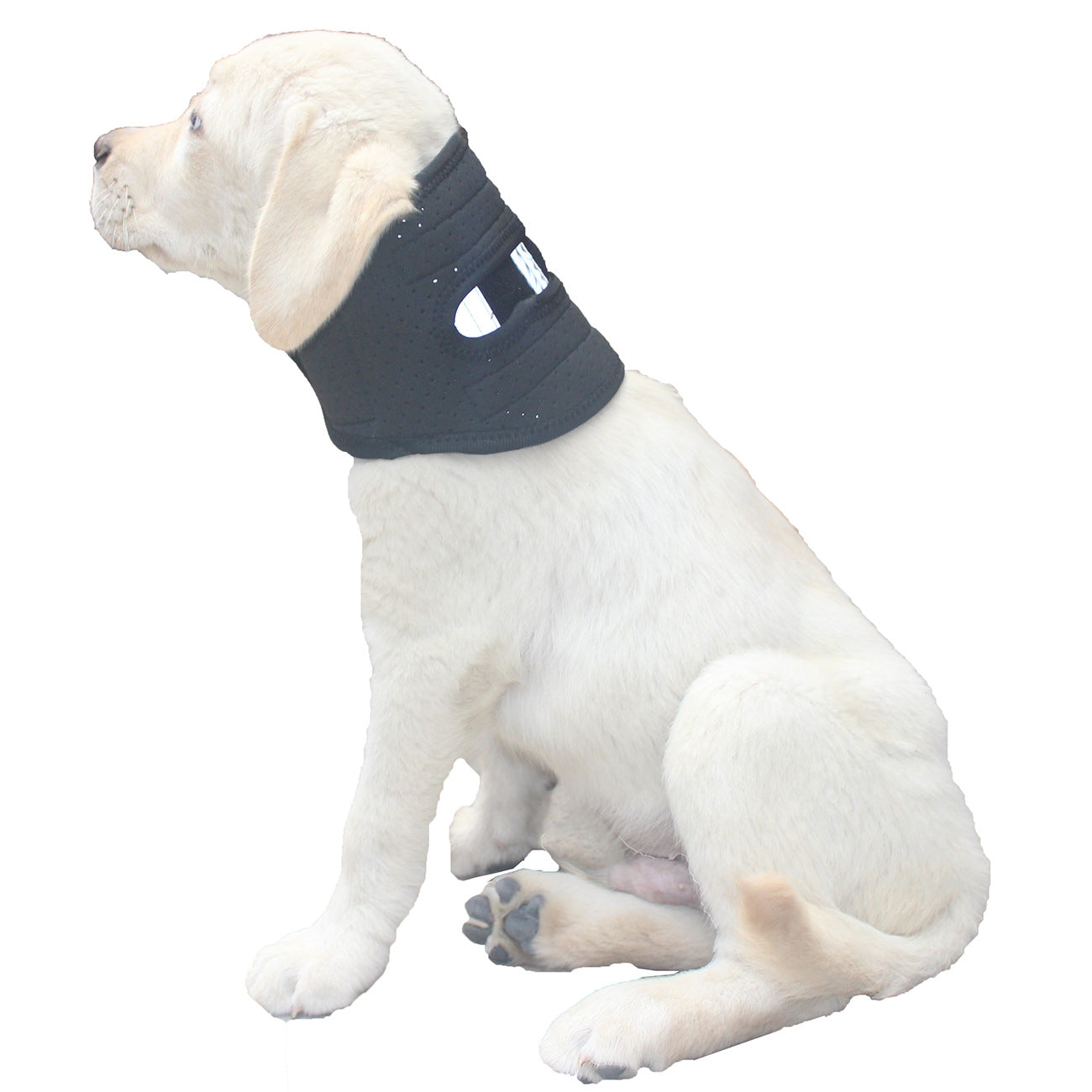 NEW Dog Support Collar Collar Anti-licking Sprained Pets Gym From House