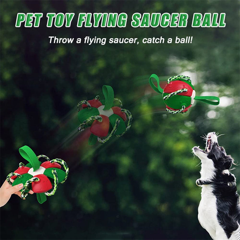 Interactive Dog Football Soccer Ball With Tabs Inflated Training Toy Outdoor Border Collie Balls Pet Products Pets dealsniper-net