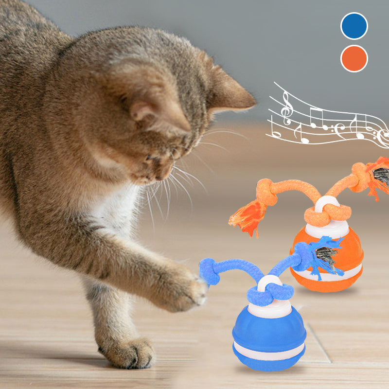 Pet Ball For Dogs Interactive Toys Motion Activate Rolling Ball Pets Gym From House Orange Blue Bird Call