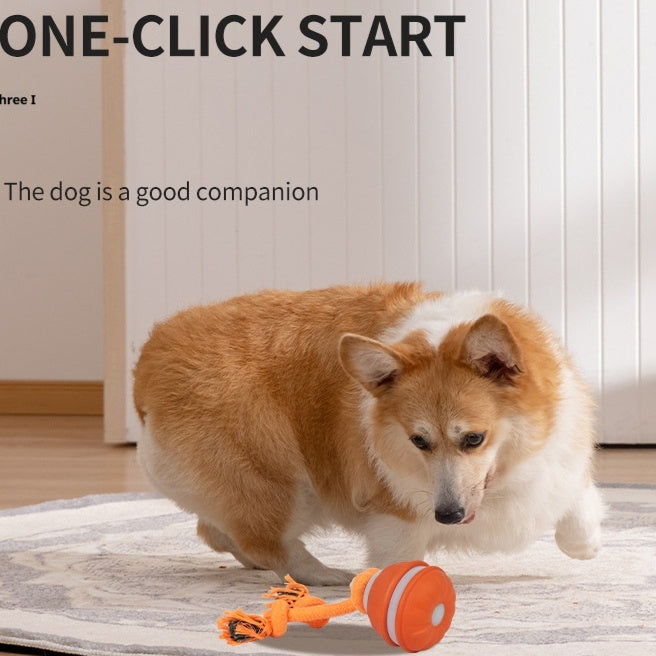 Pet Ball For Dogs Interactive Toys Motion Activate Rolling Ball Pets Gym From House