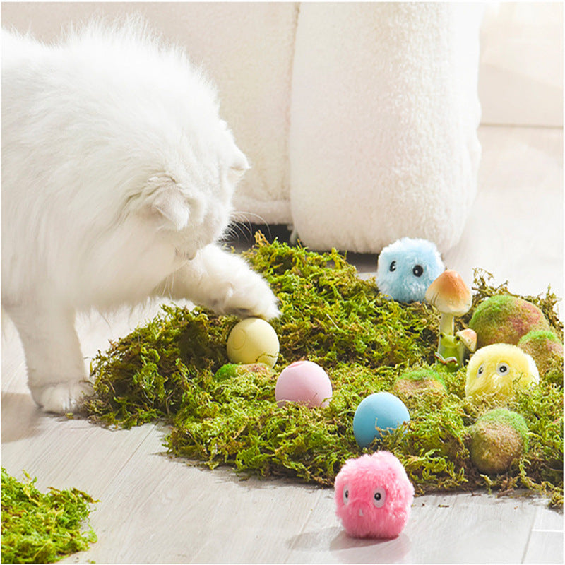Kitty Calling Ball Toy Light-emitting Cat Teasing Ball Catnip Pets Gym From House