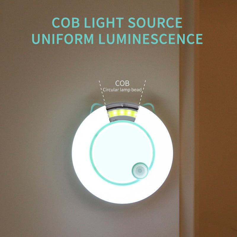 Human Body Induction Light LED Small Night Light Charging Home Decor Gym From House