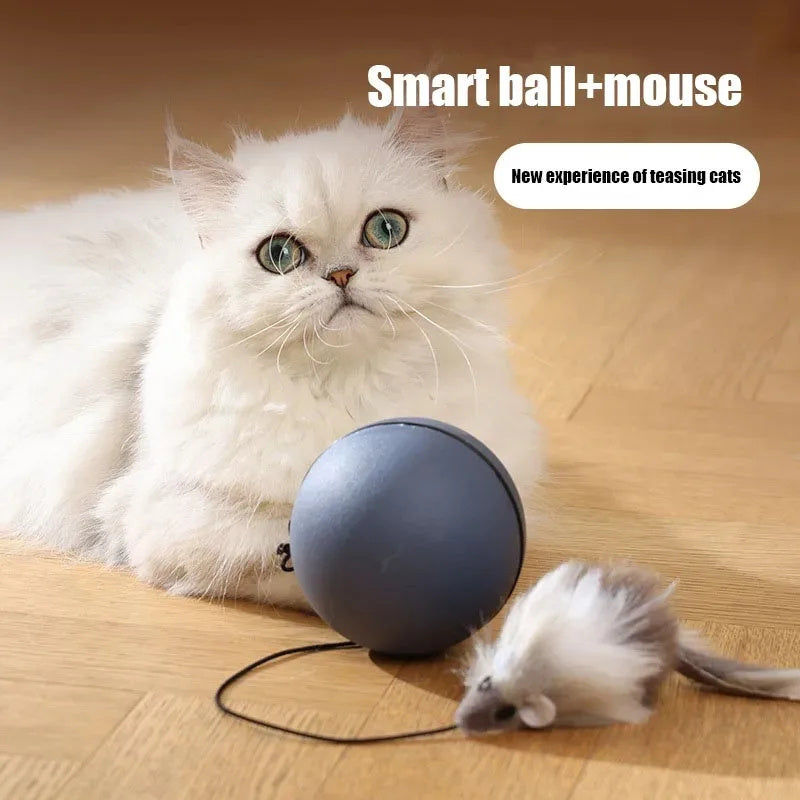 Cat Toys Mouse Teaser Ball Funny Moving Toy For Pets Pets dealsniper-net