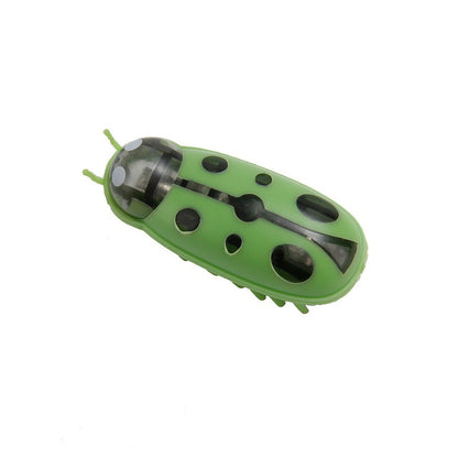 Electric Toothbrush Worm Miniature Nano Jumping Insects Pets dealsniper-net Ladybug Style Green And Black