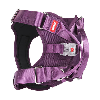 LED Luminous Chest Strap Explosion Proof Pets dealsniper-net Purple L