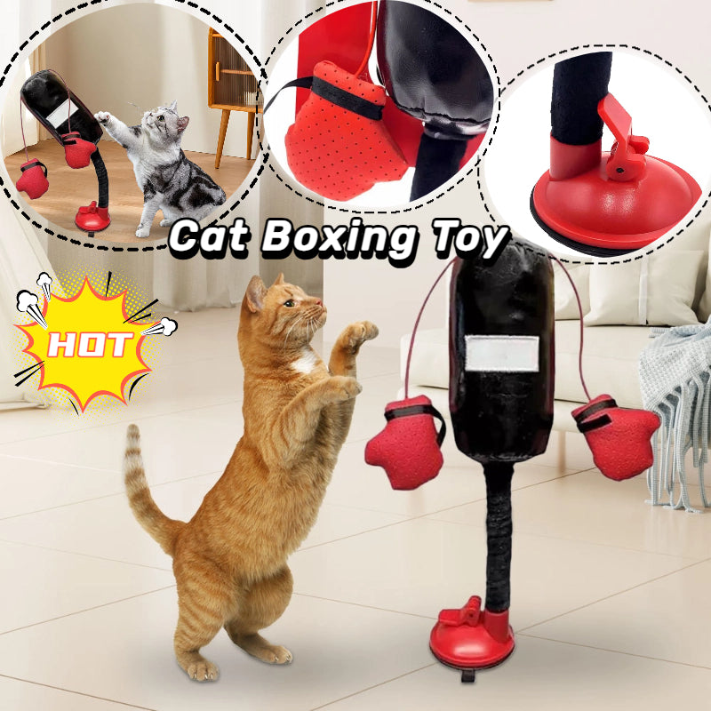 Portable Cat Punching Bag Toy Interactive Indoor Pets Gym From House