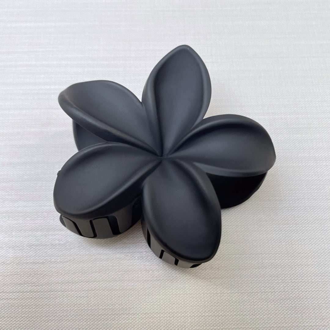 Frosted Holiday Hot Sale Side Grab Barrettes Beauty DealSniper.net Black Matte