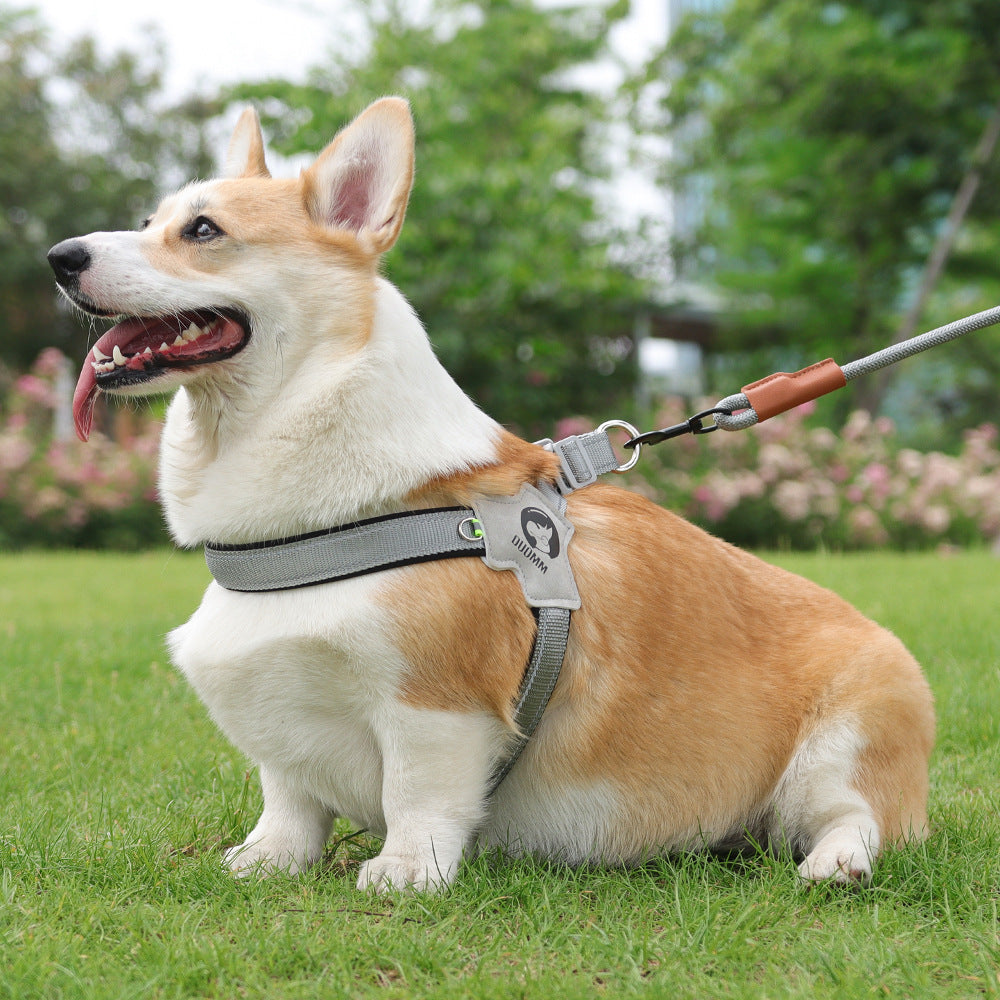 New Dog Breast Strap Saddle Pet Harness Breathable Holding Rope