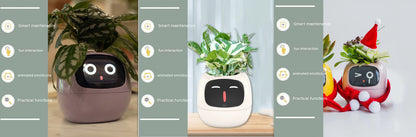 Smart Planter Endless Fun Over 49 Rich Expressions