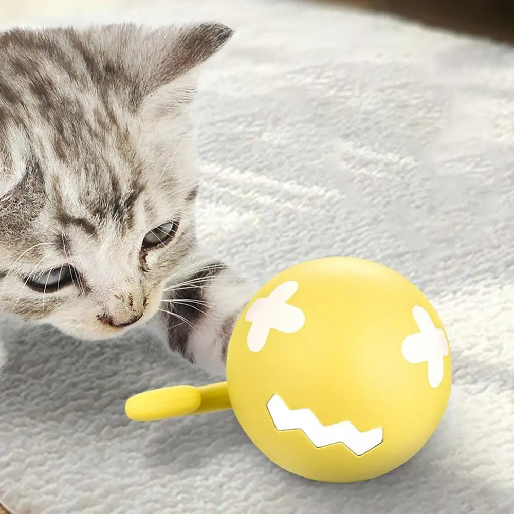 Smart Interactive Cat Toy Ball USB Moving Rolling Ball Pets Gym From House