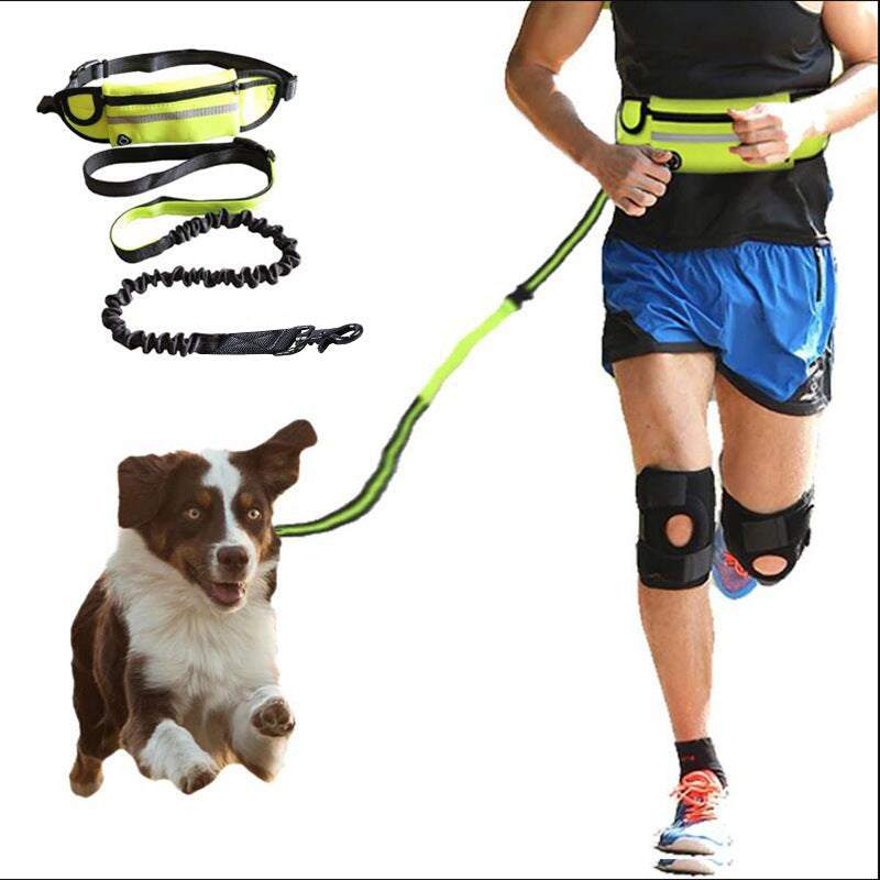 Hands Free Dog Leash Pet Walking And Training Belt Pets Gym From House