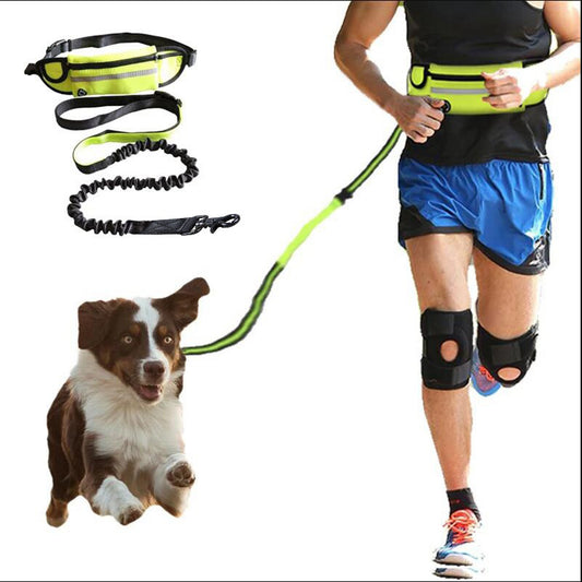 Hands Free Dog Leash Pet Walking And Training Belt Pets Gym From House