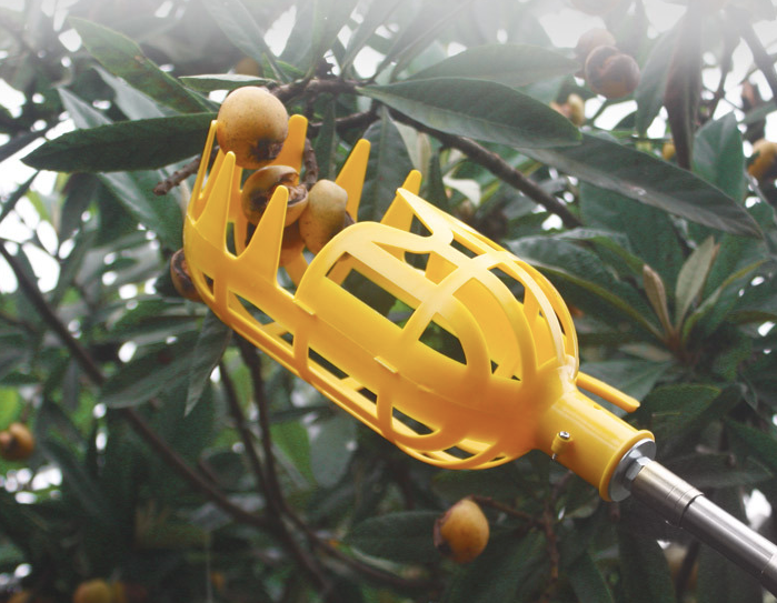 Metal fruit picker Agricultural garden hardware tools Fruit picker / picking fruit tools Garden dealsniper-net