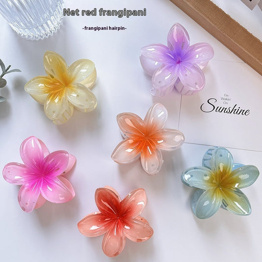 High Sense Plumeria Rubra Seaside Holiday Barrettes Beauty DealSniper.net
