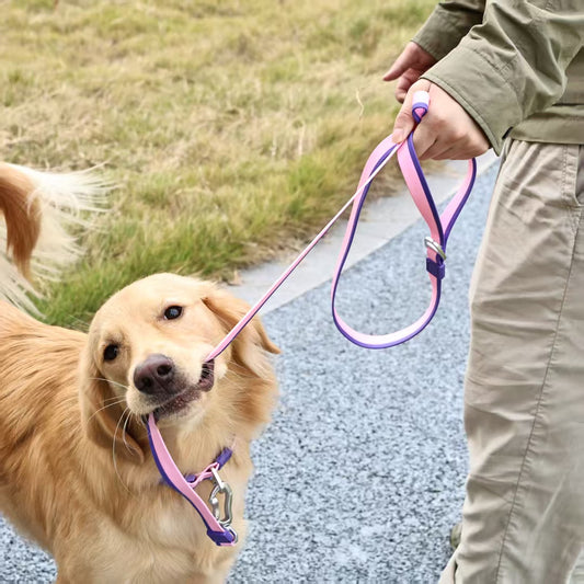 The New Dual-Color Embossed Pet Leash Set Pets dealsniper-net