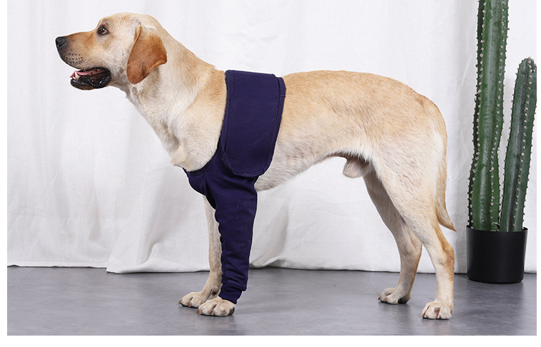 New Anti-licking Sleeve For Postoperative Recovery Of Dog Legs Pet Pets dealsniper-net