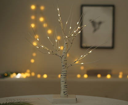 USB Birch Light Home Decor Gym From House