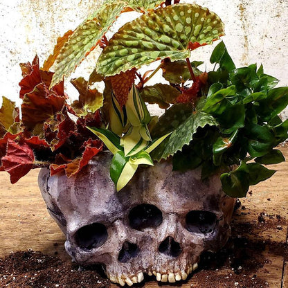 Halloween Skull Resin Flower Pot Outdoor Study