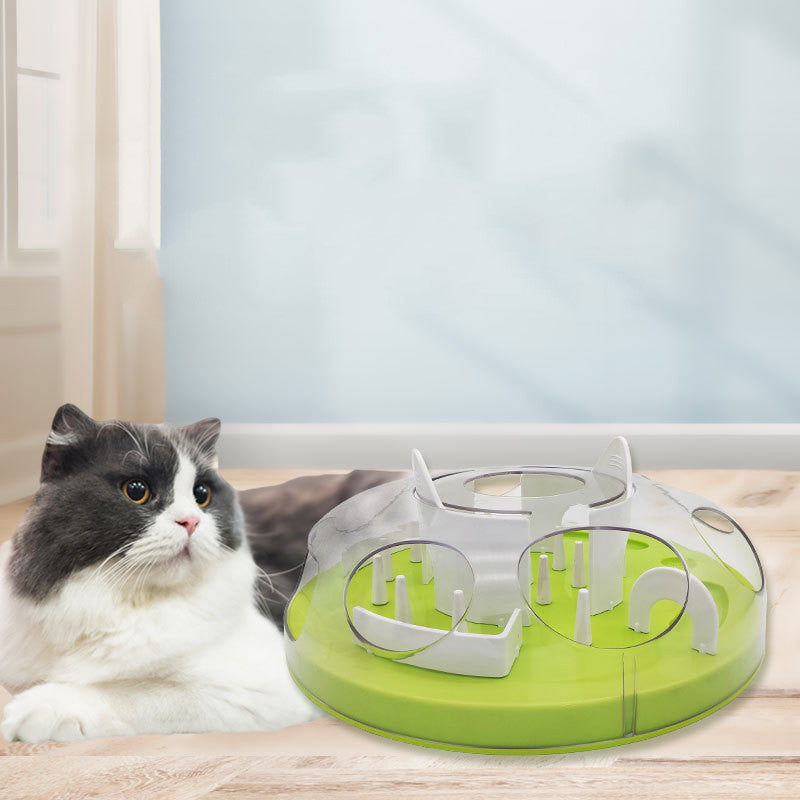 Pet Cat Toy Maze Slow Food Bowl Pets Gym From House