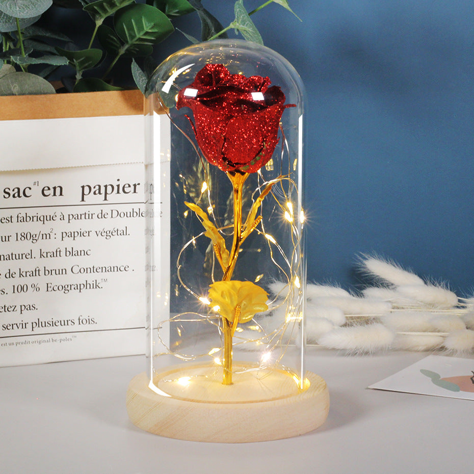 Valentines Day Gift For Girlfriend Eternal Rose Flowers LED Light In Glass Deals DealSniper.net