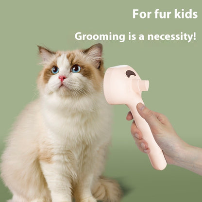 Pets Spray Hair Comb Pet Hair Remover Cleaning Brush Pets Gym From House
