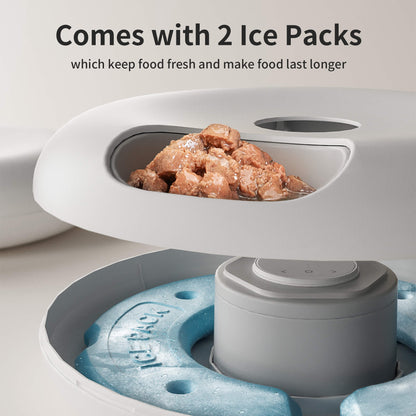 Donut Frost WiFi 6 Meal Automatic Cat Food Dispenser Pets Gym From House