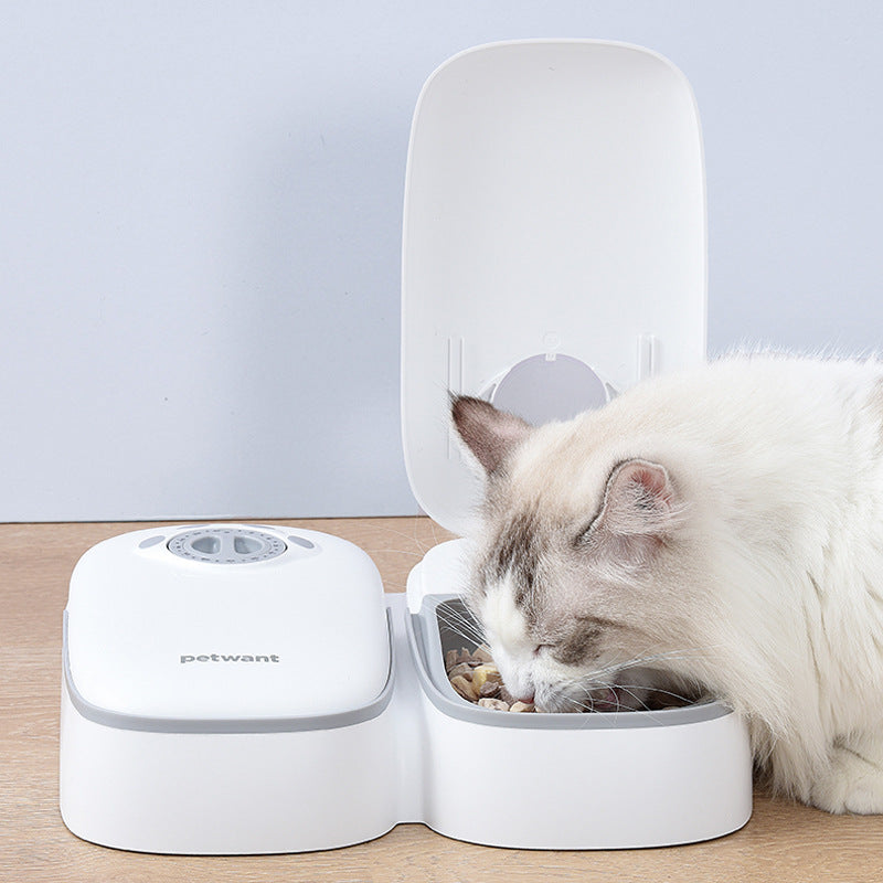 Pet Automatic Timing Feeder Puppy Pets Gym From House Feeder Light Gray