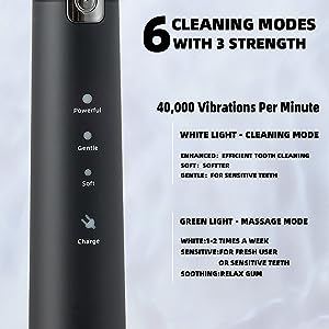 Electric Toothbrush For Adults,8 Brush Heads Toothbrush With 40000 VPM,Charge Once Last For 365 Days,6 HIGH-Performance Brushing Modes,Electric Toothbrush Health dealsniper-net