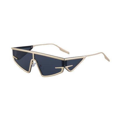 New European And American Fashion Cat-Eye Sunglasses Men Gym From House C1 matte gold all gray