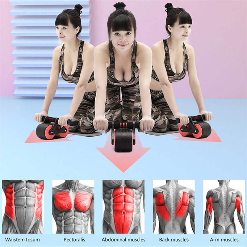 Double Wheel Abdominal Exerciser Women Men Automatic Rebound Sports DealSniper.net