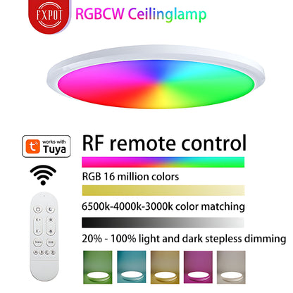 RGBCW Full Color Dimming Smart WiFi Ceiling Lamp Home Decor Gym From House