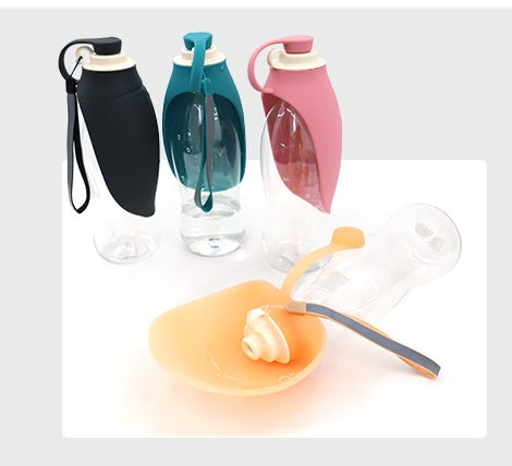 Transparent Portable Cat Backpack Pet Bag Pets Gym From House