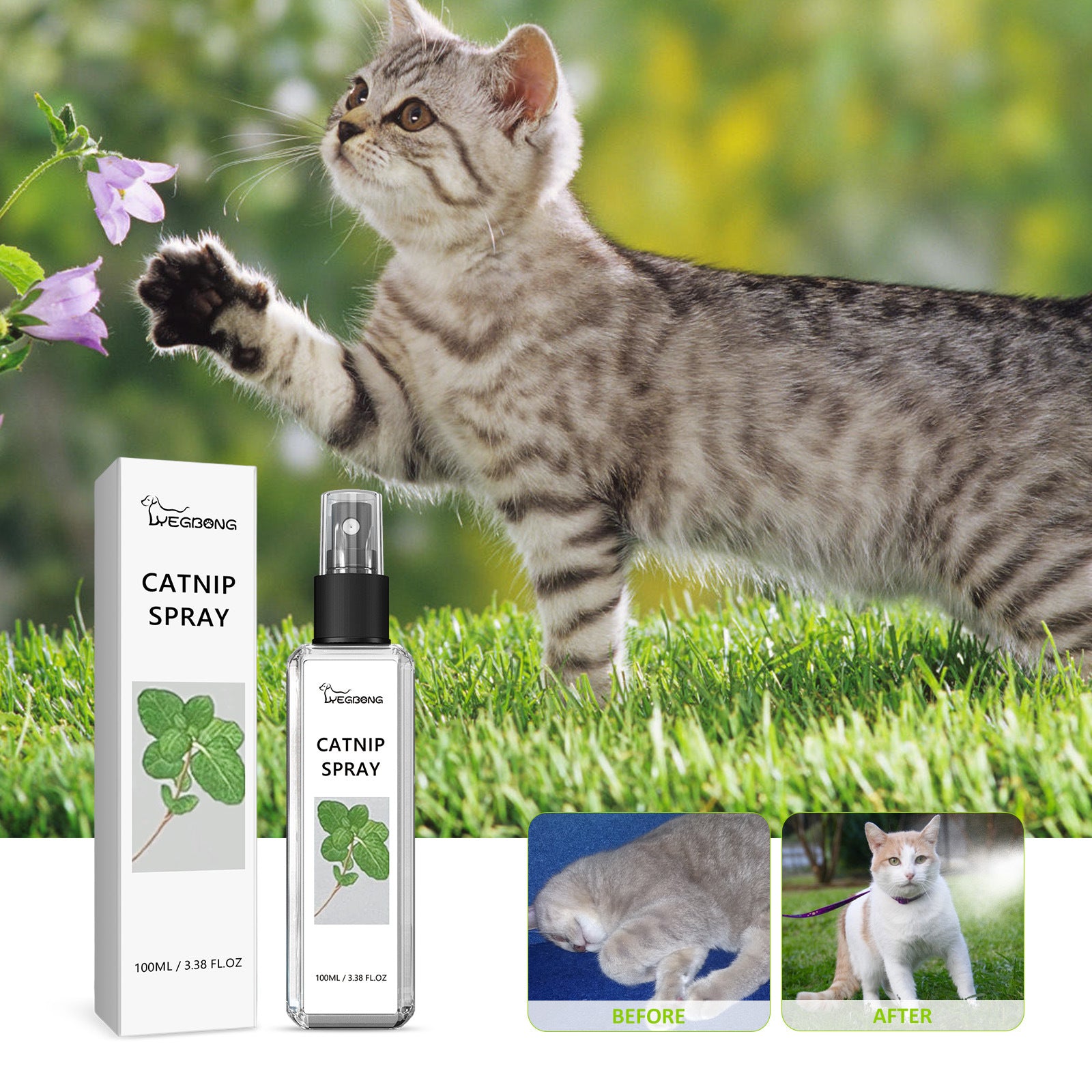 Pet Vitality Health Care Spray Pets Gym From House