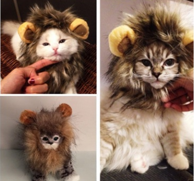 Funny Pet Hat For Small Dogs Cats Hat Emulation Lion Pets dealsniper-net