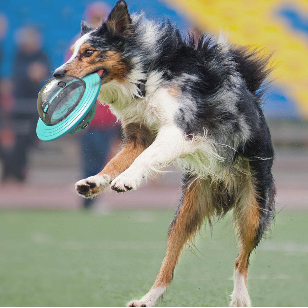 Dog Interactive Food Leaking Dispensing Treat Ball Pets Gym From House