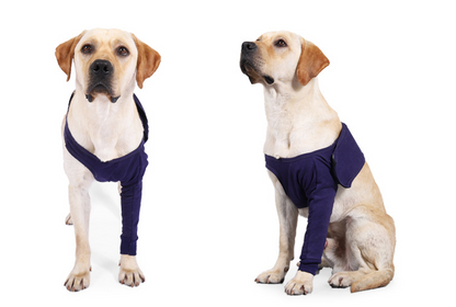 New Anti-licking Sleeve For Postoperative Recovery Of Dog Legs Pet Pets dealsniper-net