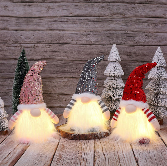 Christmas Decorations With Lights Princess Doll Holidays Gym From House