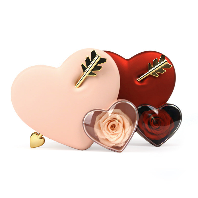 Plastic Double Love Heart-shaped Jewelry Box Holidays DealSniper.net