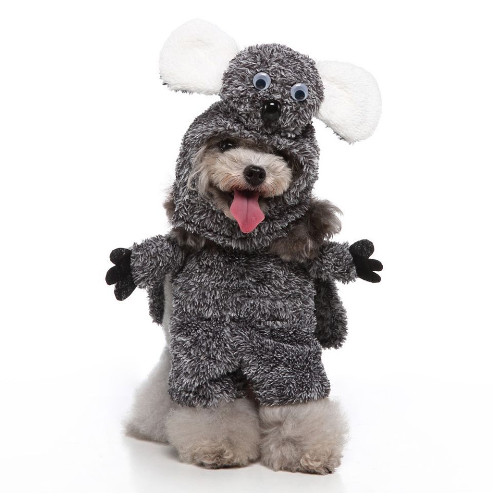 European And American Pet Products Clothing Pets DealSniper.net PF73A Raccoon L