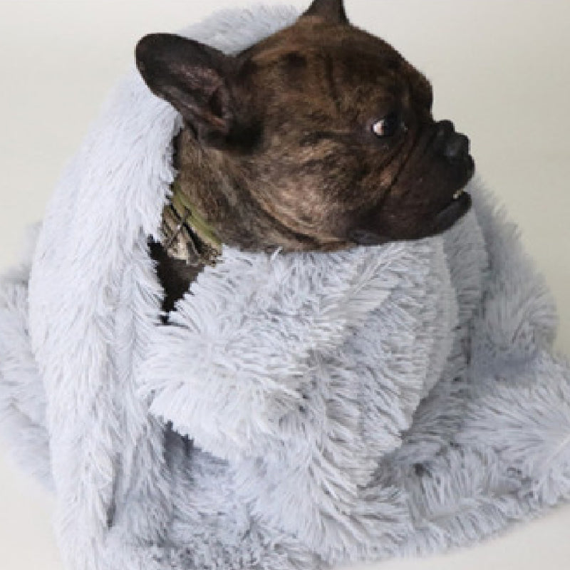 Pet Dog Cat Blankets Pets Gym From House