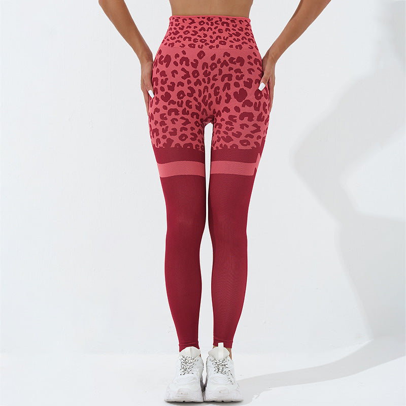 Leopard Print Fitness Pants For Women High Waist Butt Lifting Women Gym From House