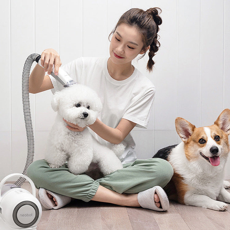 Pet Grooming Device Comb Shaving Hair Grooming Pets Gym From House