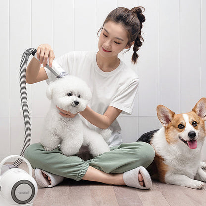 Pet Grooming Device Comb Shaving Hair Grooming Pets Gym From House
