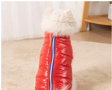 Design Instant Noodle Dog Round Closed Cat Litter Cute Shiba Inu Pet Supplies Pets dealsniper-net Down vest red 2XL