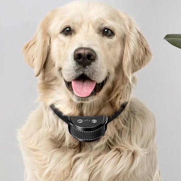 Electric Dog Anti Bark Shock Collar Rechargeable Dogs Training Pets Gym From House