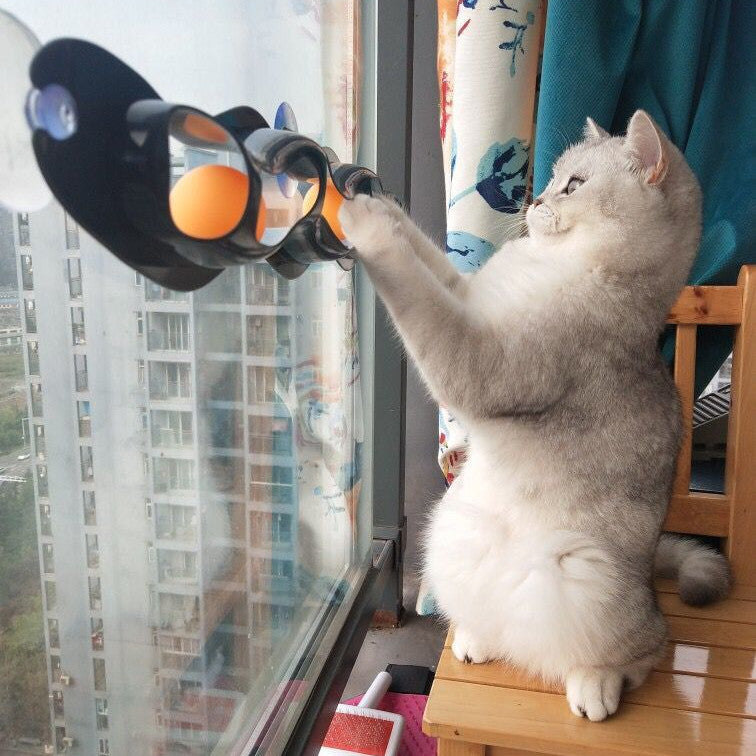 Windowsill Pets Toy Cat Track Ball Pet Products Pets DealSniper.net