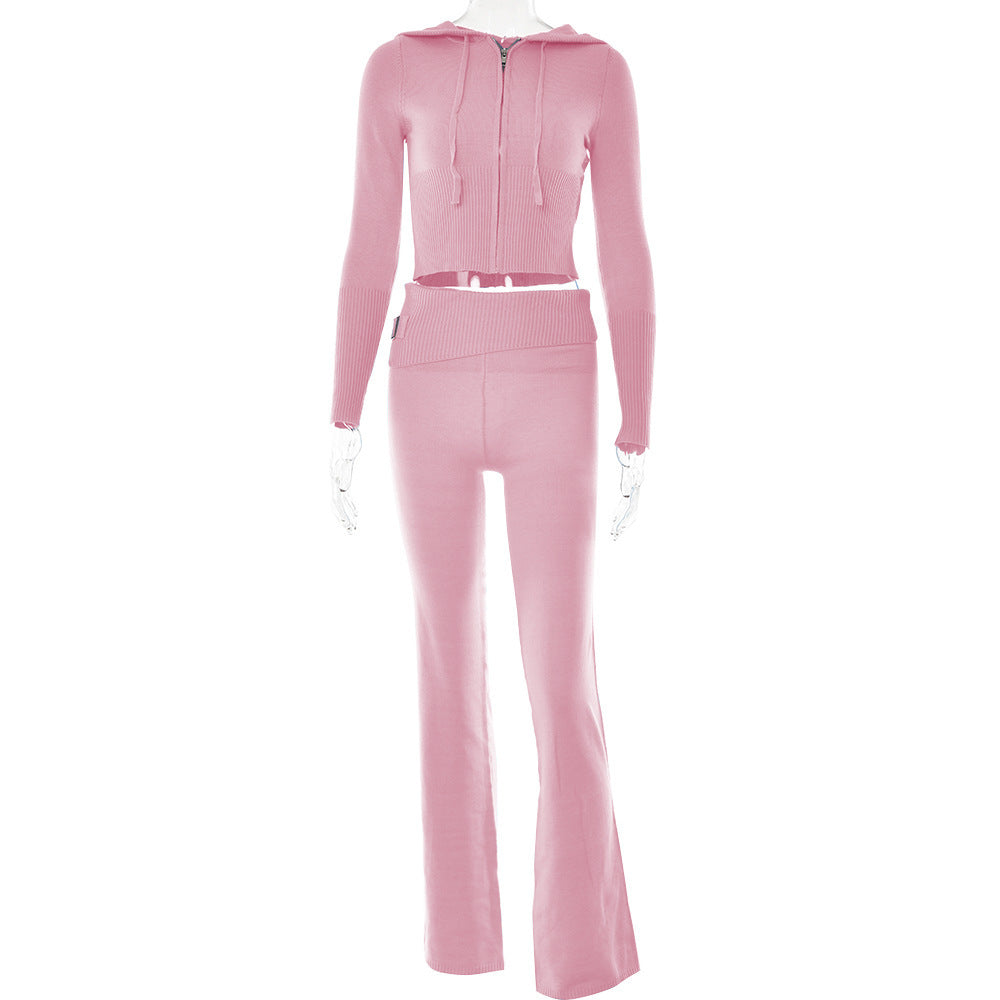 Hoodie Suit Women Leisure Sexy Zip Long Sleeve Sweater And High Waist Long Pants Set Women dealsniper-net Pink suit L