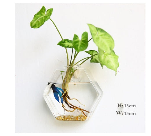 Fashion Wall Hanging Glass Flower Vase Terrarium Wall Fish Tank Garden dealsniper-net Hexagon