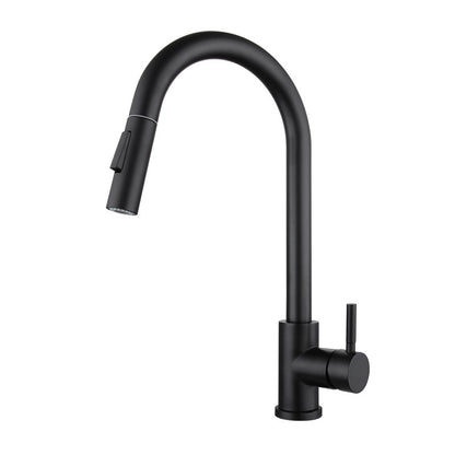 Stainless Steel Kitchen Pull-out Retractable Faucet Kitchen dealsniper-net Black